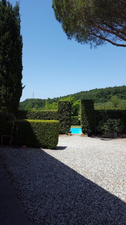 Podere Lo Stringaio Fauglia ภายนอก รูปภาพ