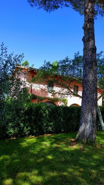Podere Lo Stringaio Fauglia ภายนอก รูปภาพ