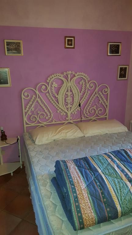 Podere Lo Stringaio Fauglia ภายนอก รูปภาพ