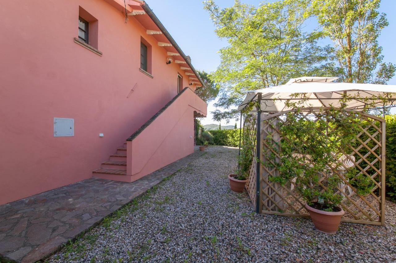 Podere Lo Stringaio Fauglia ภายนอก รูปภาพ