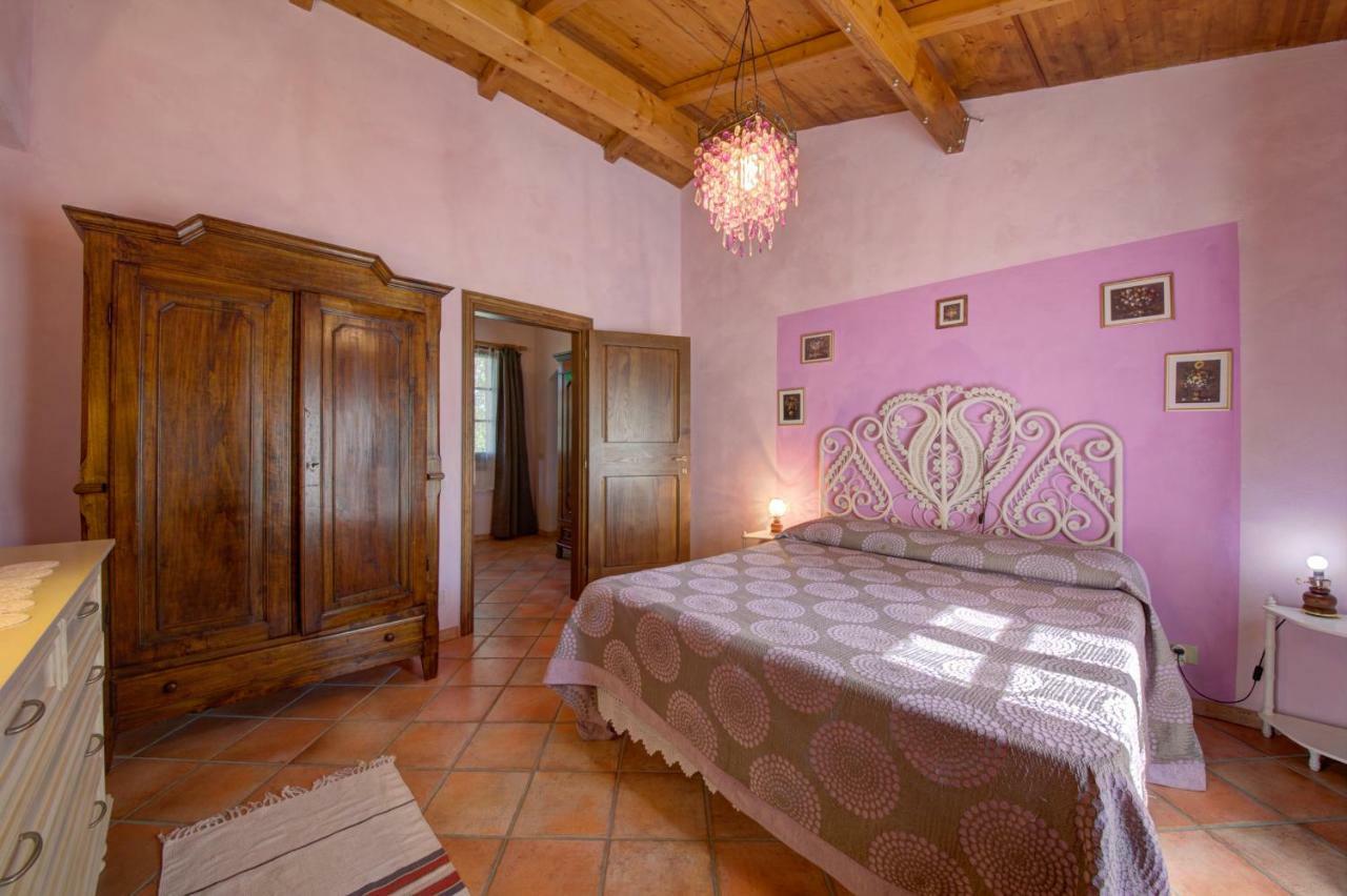 Podere Lo Stringaio Fauglia ภายนอก รูปภาพ