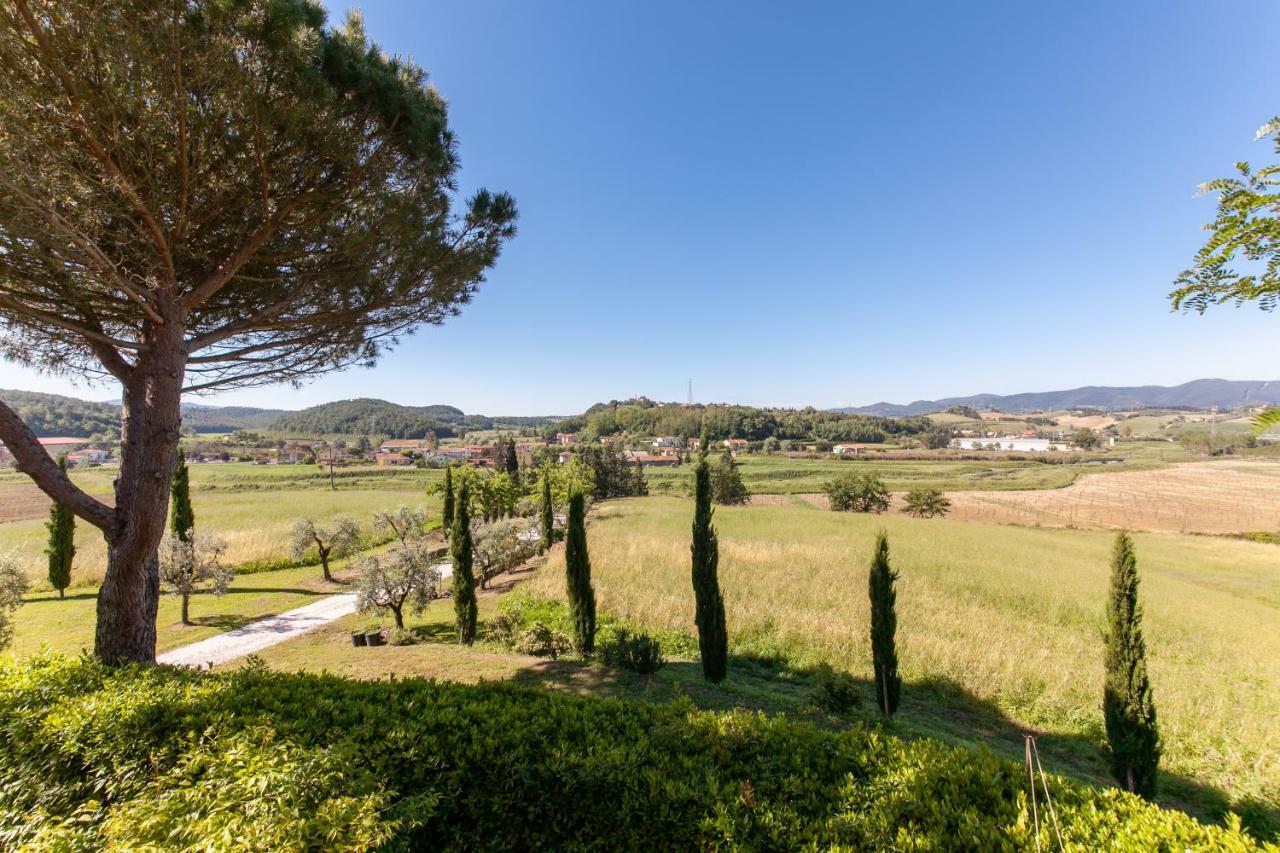 Podere Lo Stringaio Fauglia ภายนอก รูปภาพ